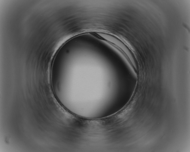 X0000091891246200709121433