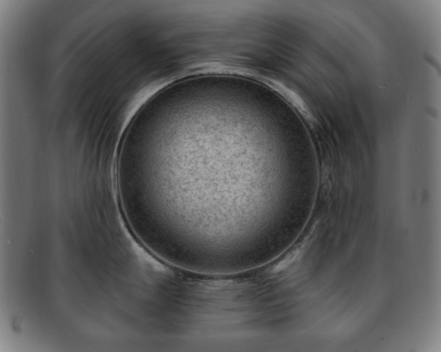X0000091891247200709121433