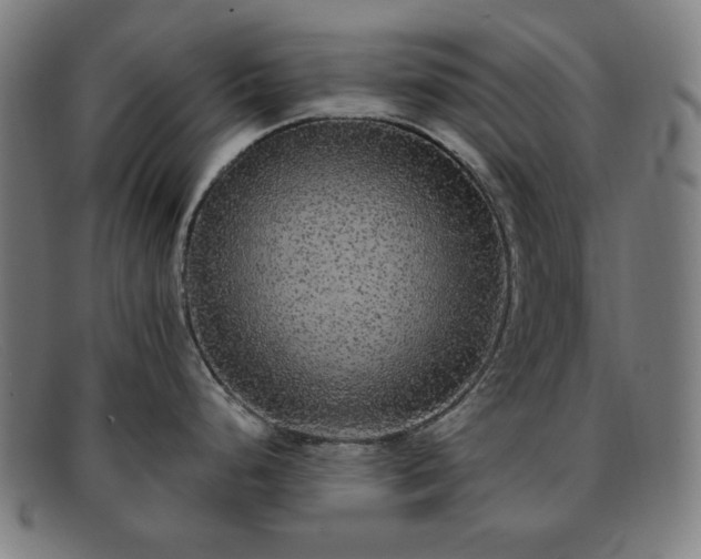 X0000091891248200709121433