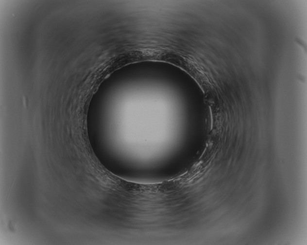 X0000091891249200709121433