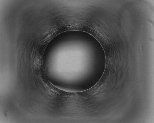 X0000091891250200709121433