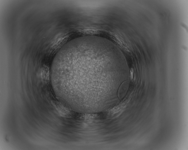 X0000091891251200709121433