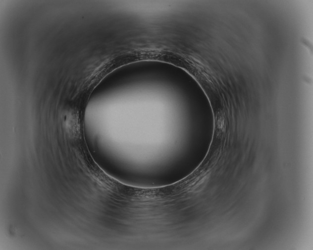 X0000091891252200709121433