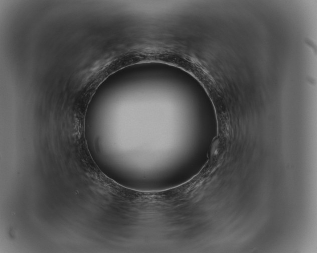 X0000091891253200709121433