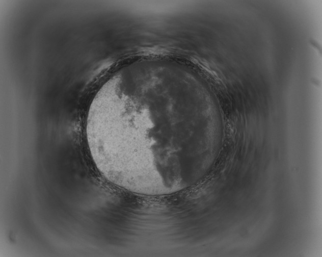 X0000091891254200709121433
