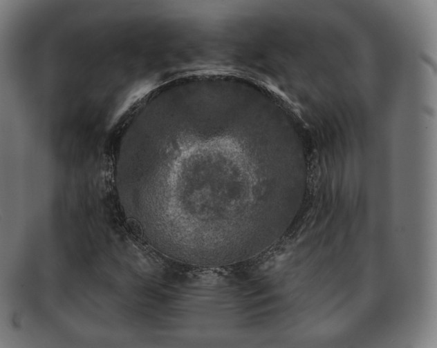 X0000091891255200709121433