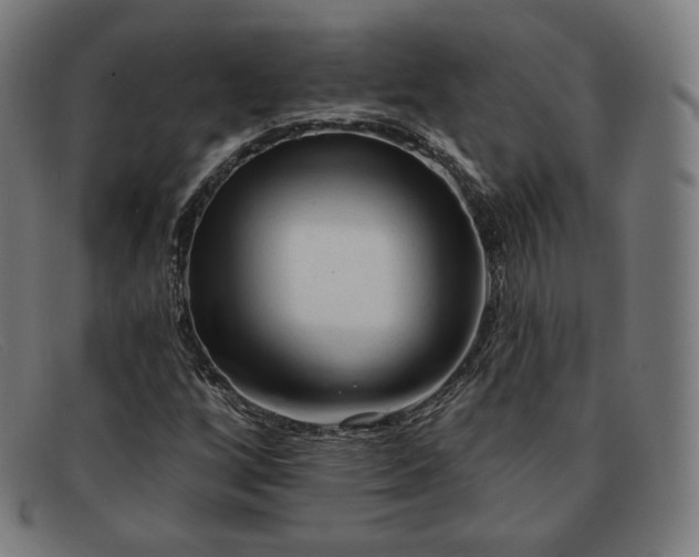X0000091891256200709121433