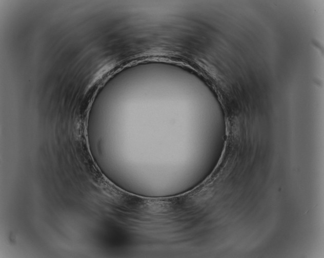 X0000091891258200709121433