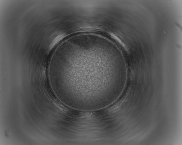 X0000091891259200709121433