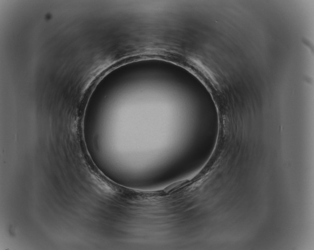 X0000091891260200709121433