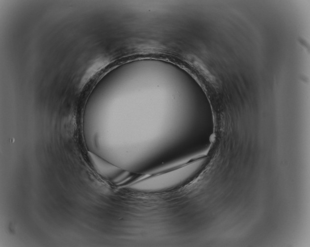 X0000091891261200709121433