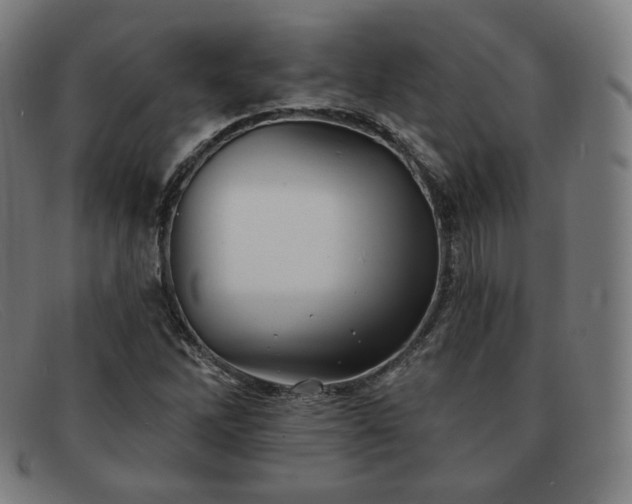 X0000091891262200709121433