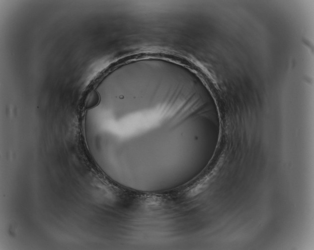 X0000091891263200709121433