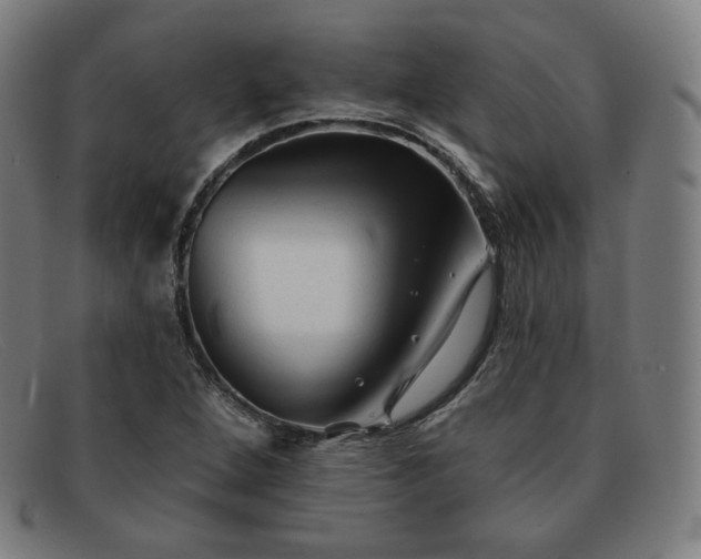 X0000091891264200709121433