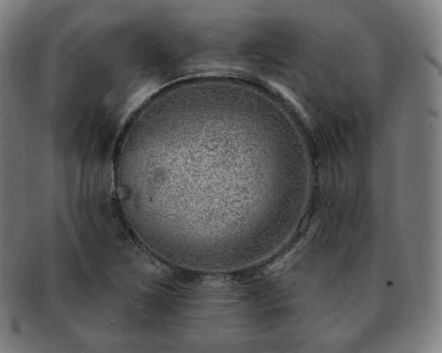 X0000091891267200709121433