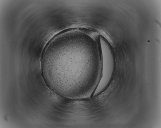 X0000091891268200709121433
