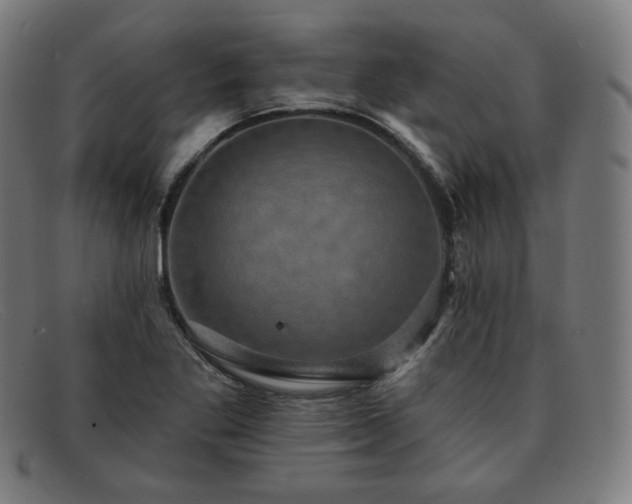X0000091891269200709121433