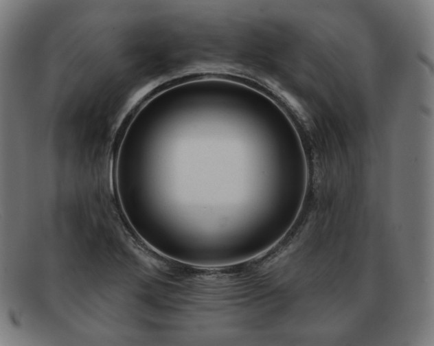 X0000091891272200709121433
