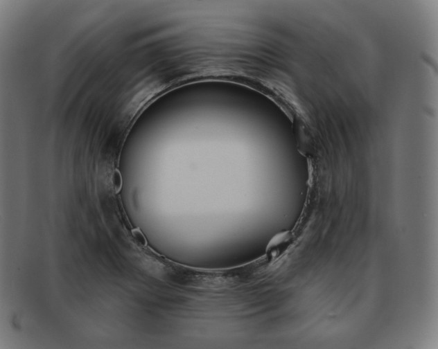 X0000091891273200709121433