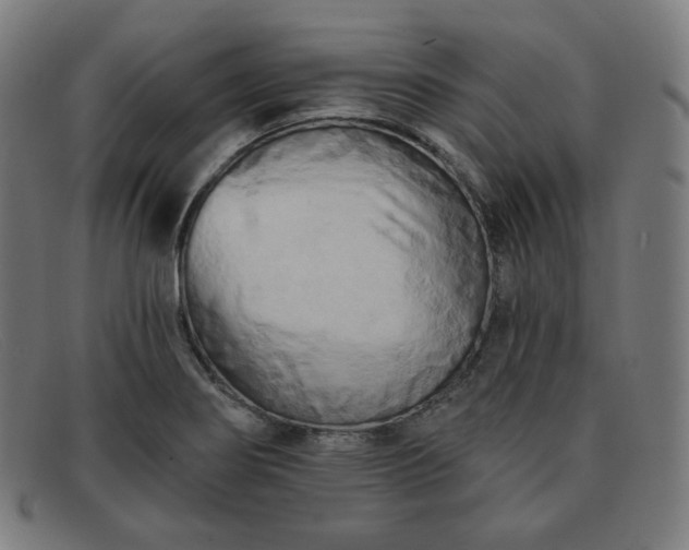 X0000091891274200709121433