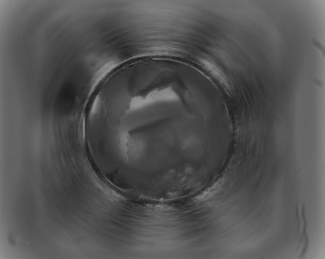 X0000091891275200709121433