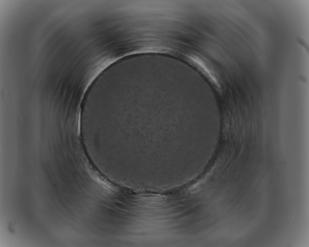 X0000091891276200709121433