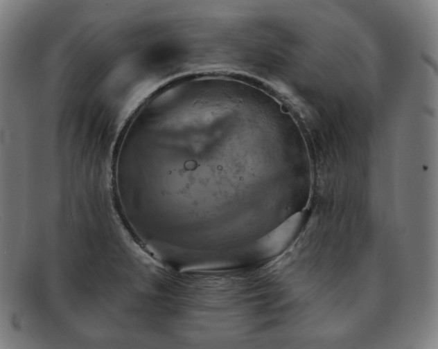 X0000091891279200709121433