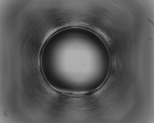 X0000091891280200709121433