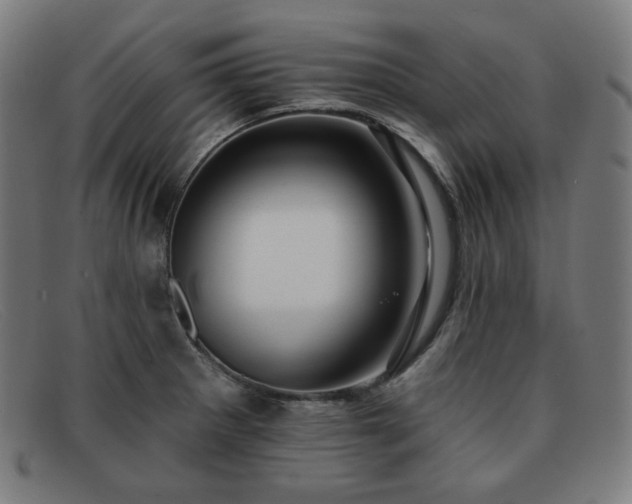 X0000091891281200709121433