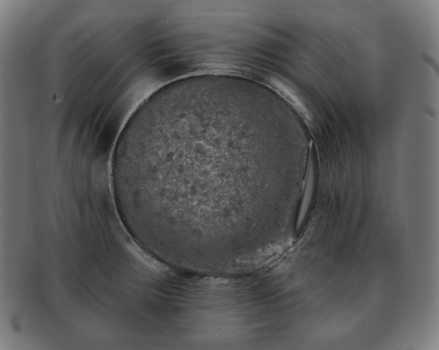 X0000091891283200709121432