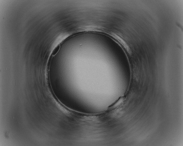 X0000091891285200709121432