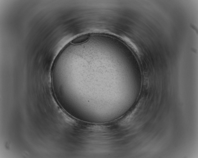 X0000091891287200709121432