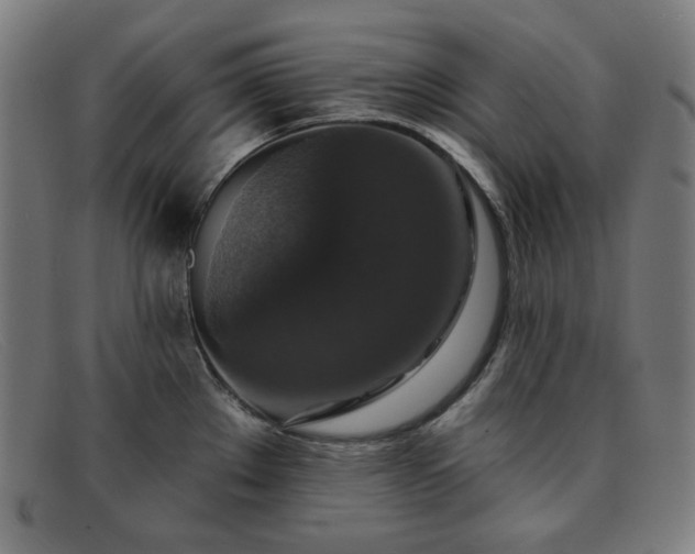 X0000091891289200709121432
