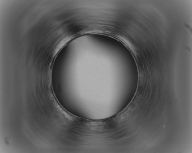 X0000091891290200709121432