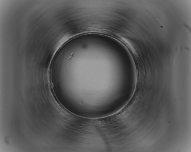 X0000091891291200709121432