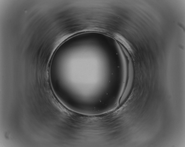 X0000091891292200709121432