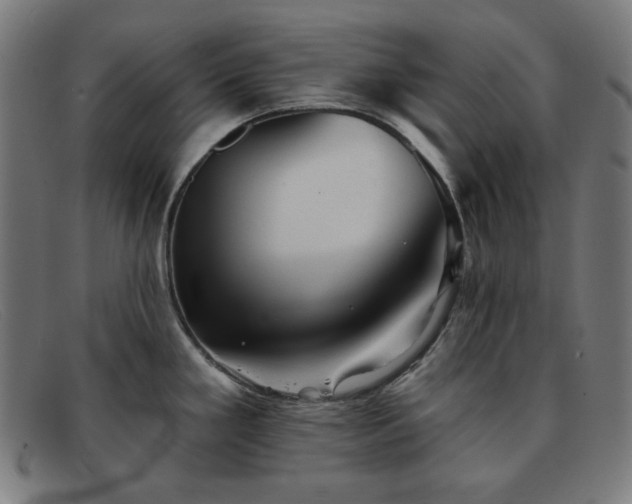X0000091891293200709121432