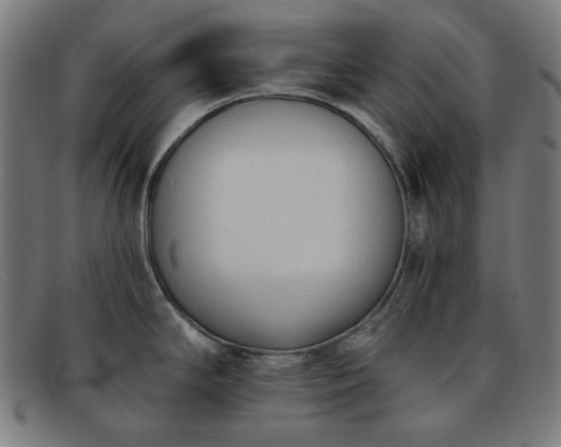 X0000091891294200709121432