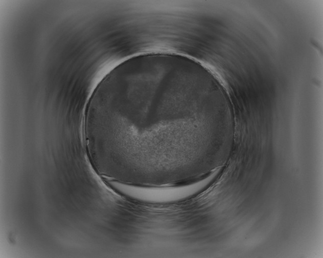 X0000091891295200709121432