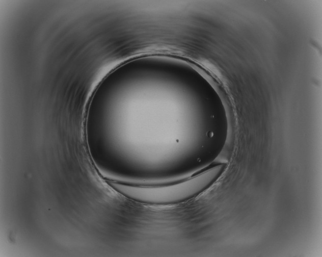 X0000091891296200709121432
