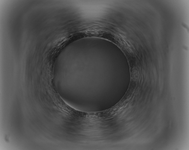 X0000091891297200709121432