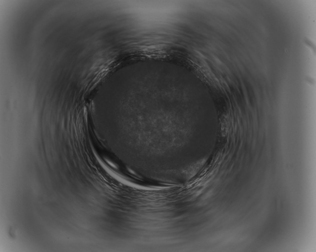 X0000091891298200709121432