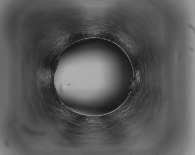 X0000091891299200709121432