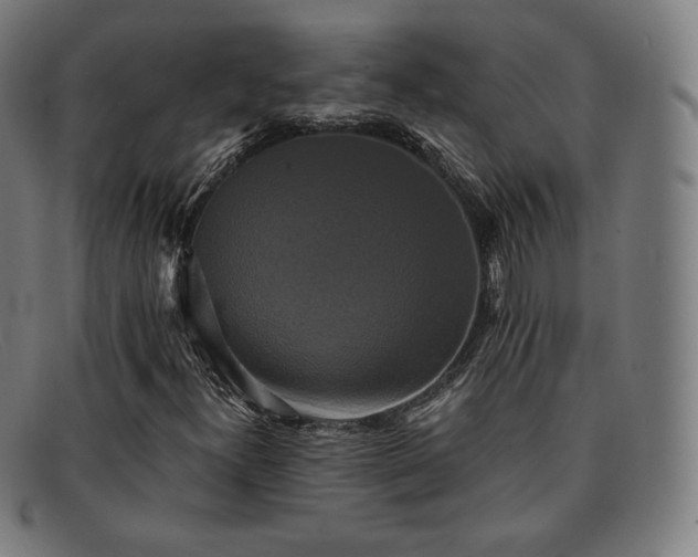 X0000091891300200709121432