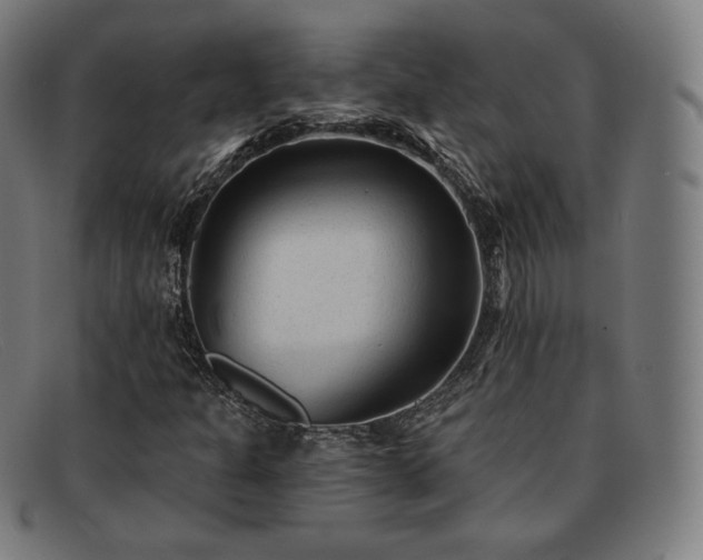 X0000091891301200709121432