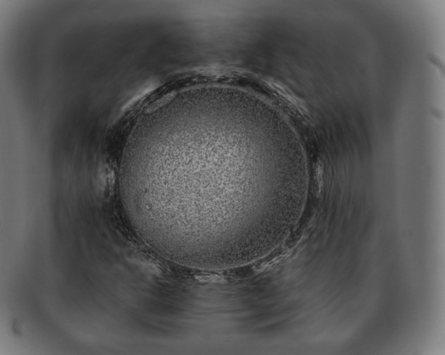 X0000091891302200709121432