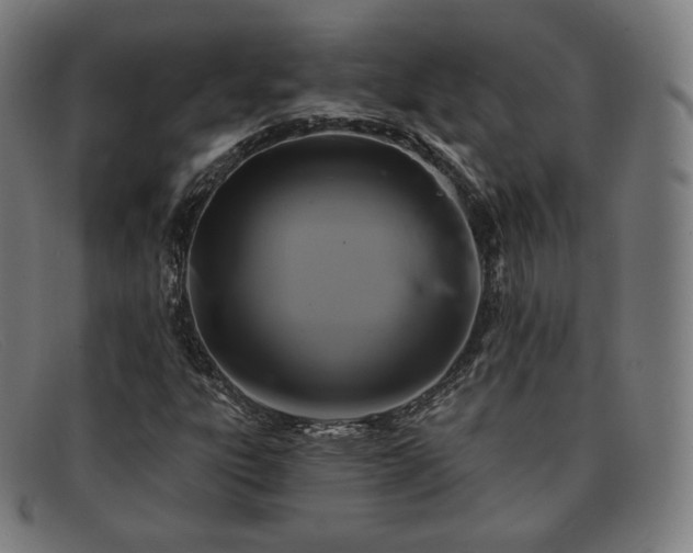 X0000091891303200709121432