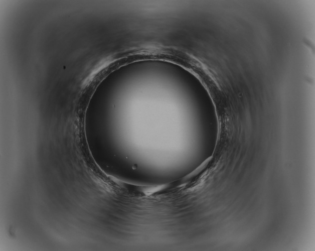 X0000091891304200709121432