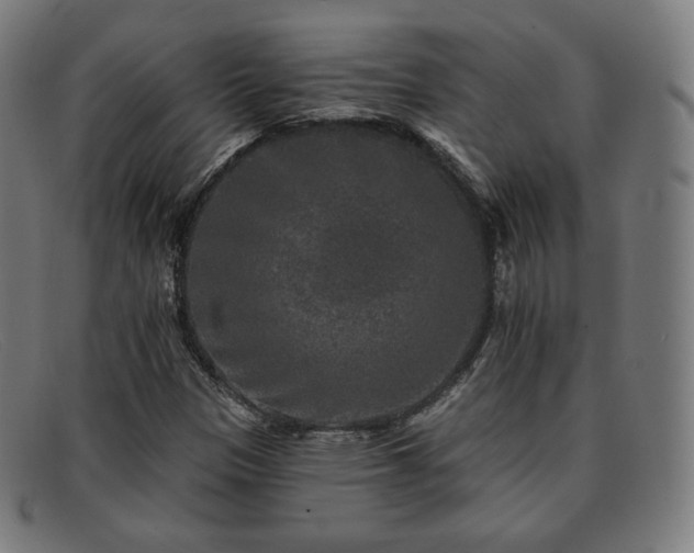 X0000091891305200709121432