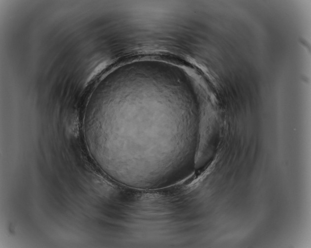 X0000091891306200709121432